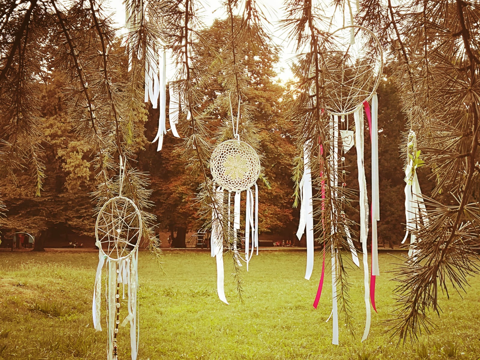 COME ACCHIAPPARE UN SOGNO:  istruzioni per l’uso!