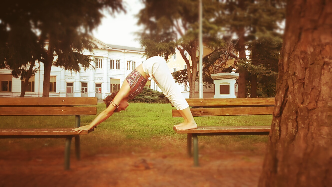 DOWN DOG YOGA: divertiamoci con il cane a testa in giù!