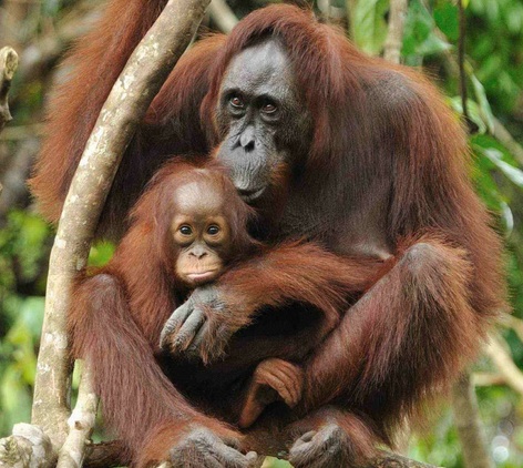 Di cosa abbiamo bisogno nella vita?